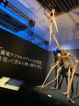 DinoScience 恐竜科学博 2023@TOKYO MIDTOWNに投稿された画像（2023/8/12）