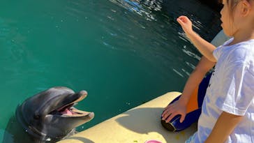 伊豆・三津シーパラダイスに投稿された画像（2023/8/12）