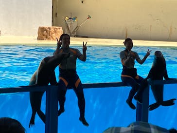 伊豆・三津シーパラダイスに投稿された画像（2023/8/12）