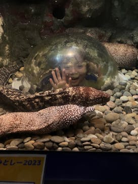 伊豆・三津シーパラダイスに投稿された画像（2023/8/12）