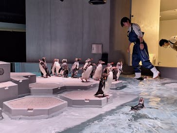 AOAO SAPPOROに投稿された画像（2023/8/12）