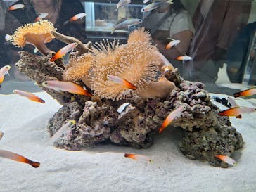 AOAO SAPPOROに投稿された画像（2023/8/12）