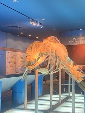 名古屋港水族館に投稿された画像（2023/8/12）