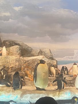 名古屋港水族館に投稿された画像（2023/8/12）