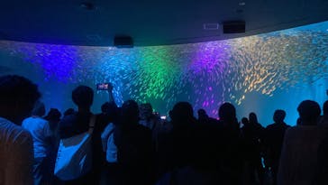 名古屋港水族館に投稿された画像（2023/8/12）