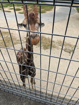 姫路セントラルパークに投稿された画像（2023/8/12）