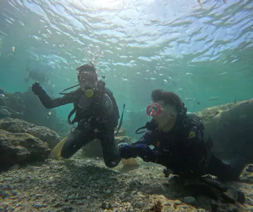 武藤潜水に投稿された画像（2023/8/12）
