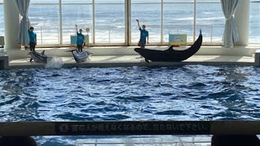 アクアワールド茨城県大洗水族館に投稿された画像（2023/8/12）