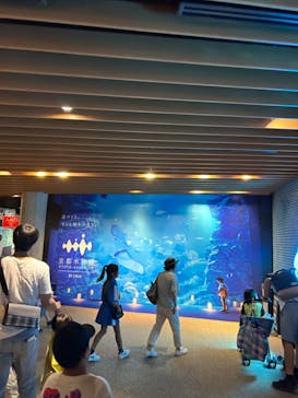 京都水族館に投稿された画像（2023/8/12）