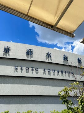 京都水族館に投稿された画像（2023/8/12）