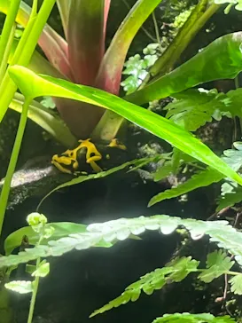 マクセル アクアパーク品川に投稿された画像（2023/8/12）