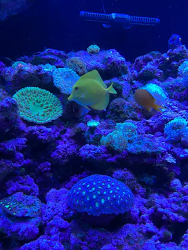 マクセル アクアパーク品川に投稿された画像（2023/8/12）