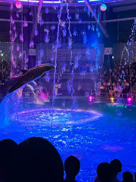 マクセル アクアパーク品川に投稿された画像（2023/8/12）