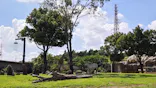 よこはま動物園ズーラシアに投稿された画像（2023/8/12）