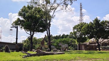 よこはま動物園ズーラシアに投稿された画像（2023/8/12）