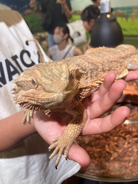 NARA IKIMONO MUSEUMに投稿された画像（2023/8/12）