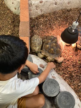 NARA IKIMONO MUSEUMに投稿された画像（2023/8/12）