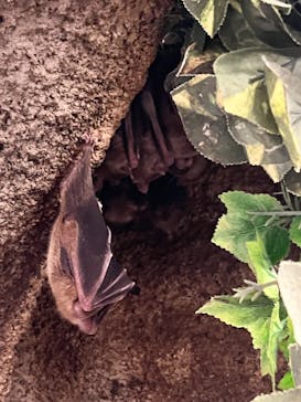 那須どうぶつ王国に投稿された画像（2023/8/12）