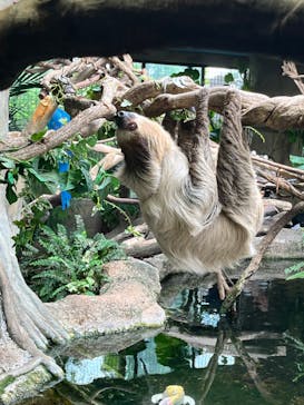 那須どうぶつ王国に投稿された画像（2023/8/12）