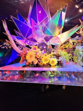 NARA KINGYO MUSEUMに投稿された画像（2023/8/12）