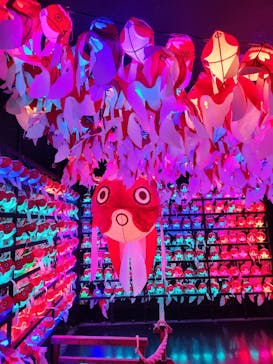 NARA KINGYO MUSEUMに投稿された画像（2023/8/12）