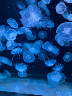 AOAO SAPPOROに投稿された画像（2023/8/12）