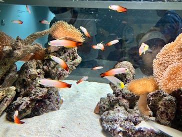 AOAO SAPPOROに投稿された画像（2023/8/12）