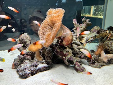 AOAO SAPPOROに投稿された画像（2023/8/12）