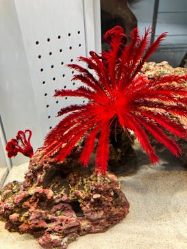 AOAO SAPPOROに投稿された画像（2023/8/12）