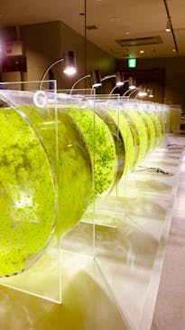 AOAO SAPPOROに投稿された画像（2023/8/12）