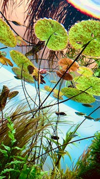 AOAO SAPPOROに投稿された画像（2023/8/12）