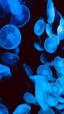 AOAO SAPPOROに投稿された画像（2023/8/12）