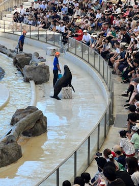 城崎マリンワールドに投稿された画像（2023/8/12）