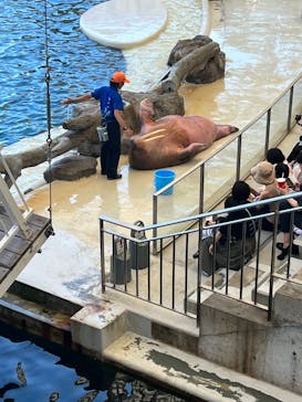 城崎マリンワールドに投稿された画像（2023/8/12）