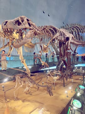 福井県立恐竜博物館に投稿された画像（2023/8/12）