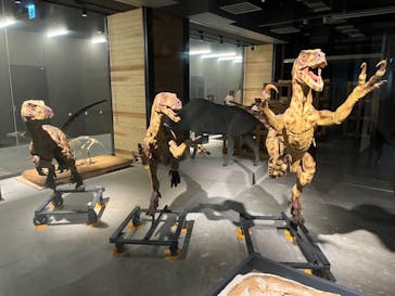 福井県立恐竜博物館に投稿された画像（2023/8/12）