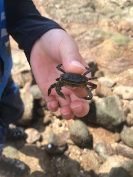 あさくちスポーツクラブ遊ぶところに投稿された画像（2023/8/12）