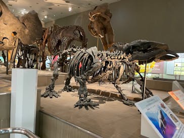 大阪市立自然史博物館に投稿された画像（2023/8/12）