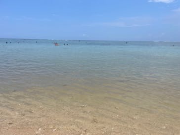 宮古島マリン SUGAR3（シュガースリー）に投稿された画像（2023/8/12）