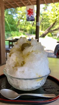 三溪園に投稿された画像（2023/8/12）