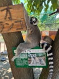 しろとり動物園に投稿された画像（2023/8/12）