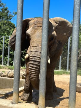 しろとり動物園に投稿された画像（2023/8/12）