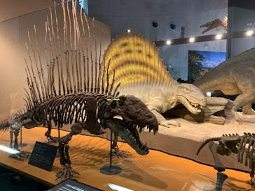 福井県立恐竜博物館に投稿された画像（2023/8/12）