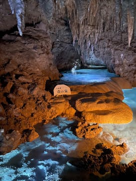 おきなわワールドに投稿された画像（2023/8/12）