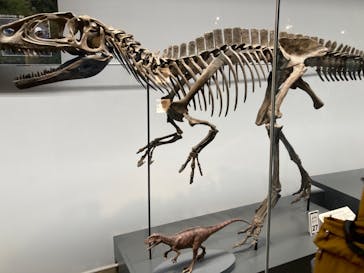 福井県立恐竜博物館に投稿された画像（2023/8/12）