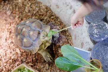 NARA IKIMONO MUSEUMに投稿された画像（2023/8/12）