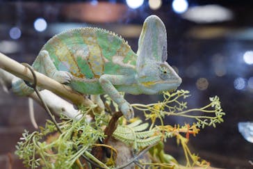 NARA IKIMONO MUSEUMに投稿された画像（2023/8/12）