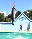 しながわ水族館に投稿された画像（2023/8/12）