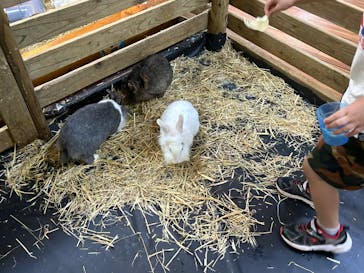 美らヤシパークオキナワ・東南植物楽園に投稿された画像（2023/8/12）