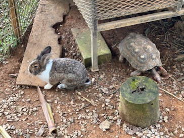 美らヤシパークオキナワ・東南植物楽園に投稿された画像（2023/8/12）